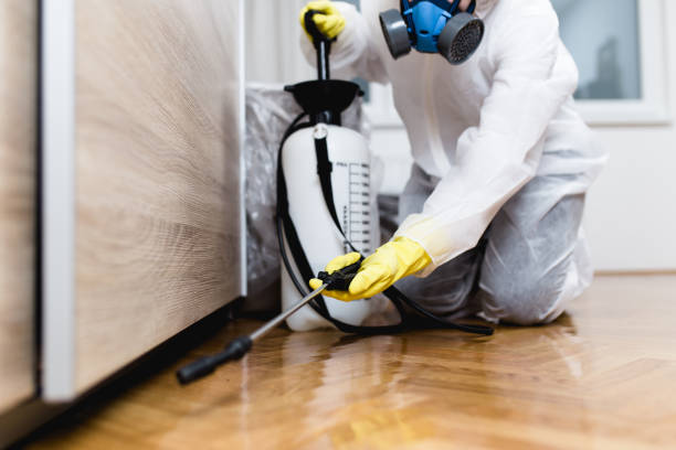 Best Affordable Pest Control Services  in Annandale, VA