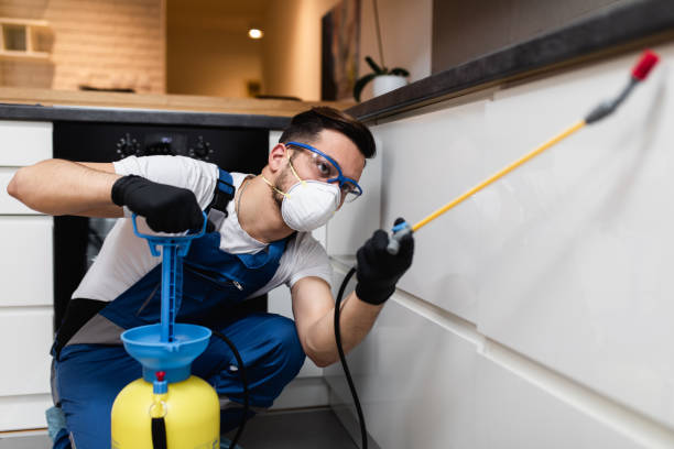 Best Wasp Removal Services  in Annandale, VA