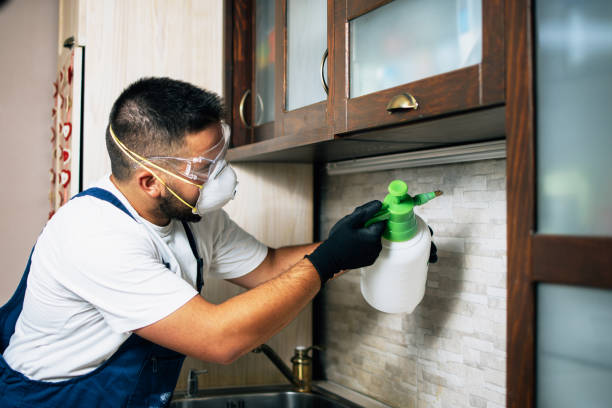 Best Emergency Pest Control  in Annandale, VA