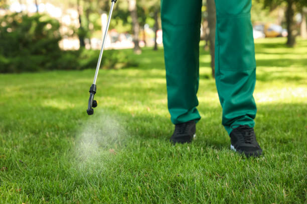 Best Pest Removal Services  in Annandale, VA