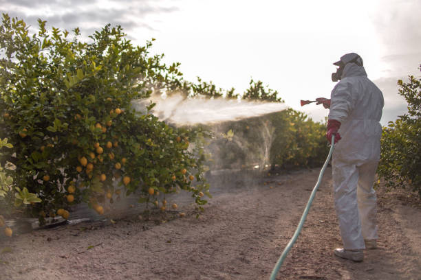 Best Pest Control Near Me in Annandale, VA