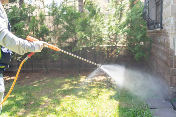Best Insect Control  in Annandale, VA